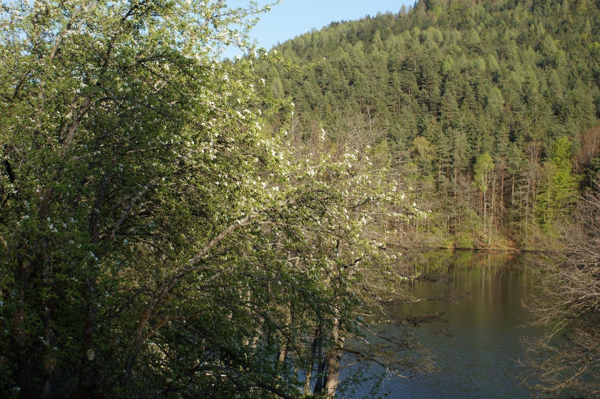 Landgasthof Trattnig Schiefling am See Pokój zdjęcie