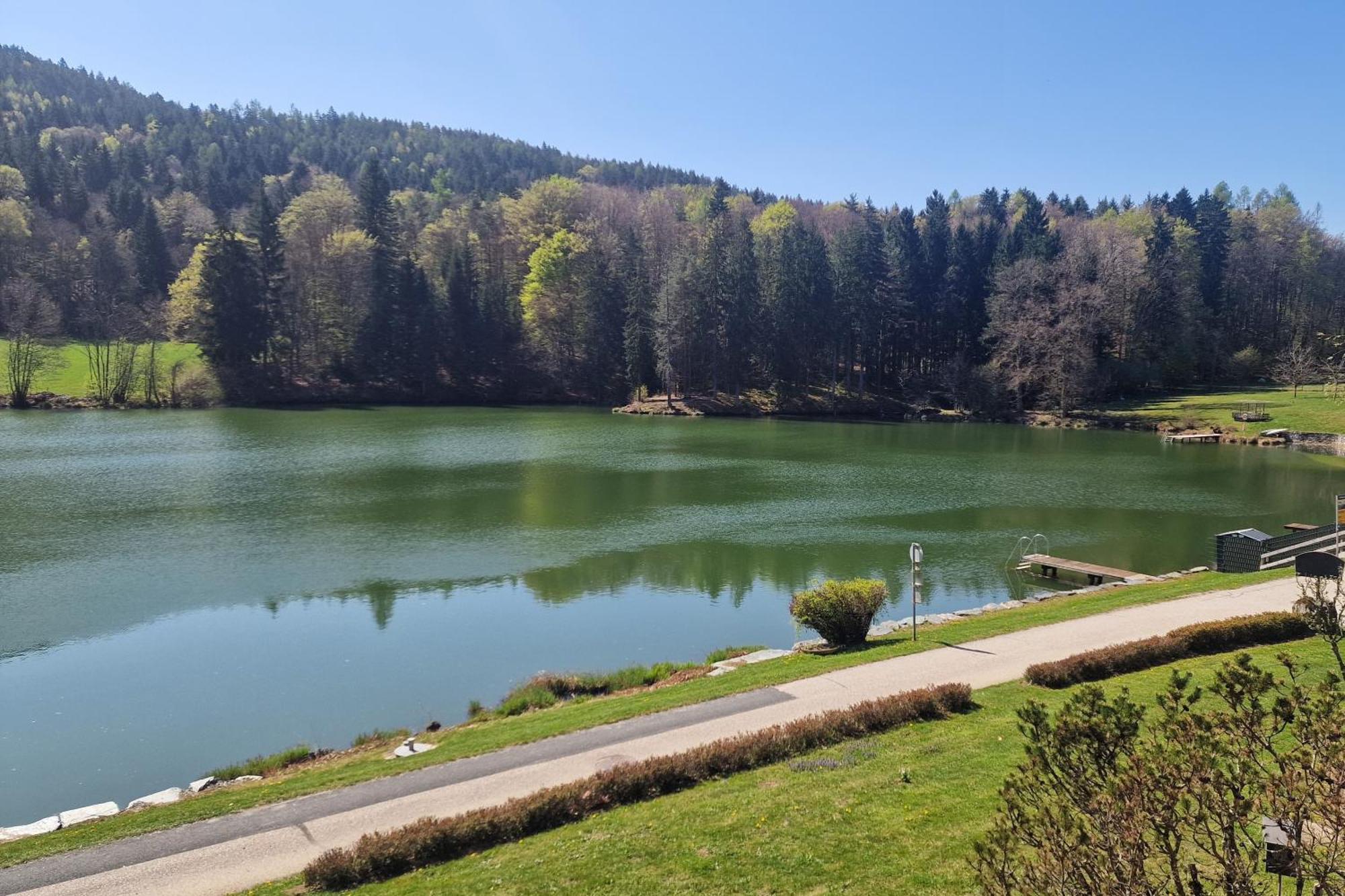 Landgasthof Trattnig Schiefling am See Pokój zdjęcie