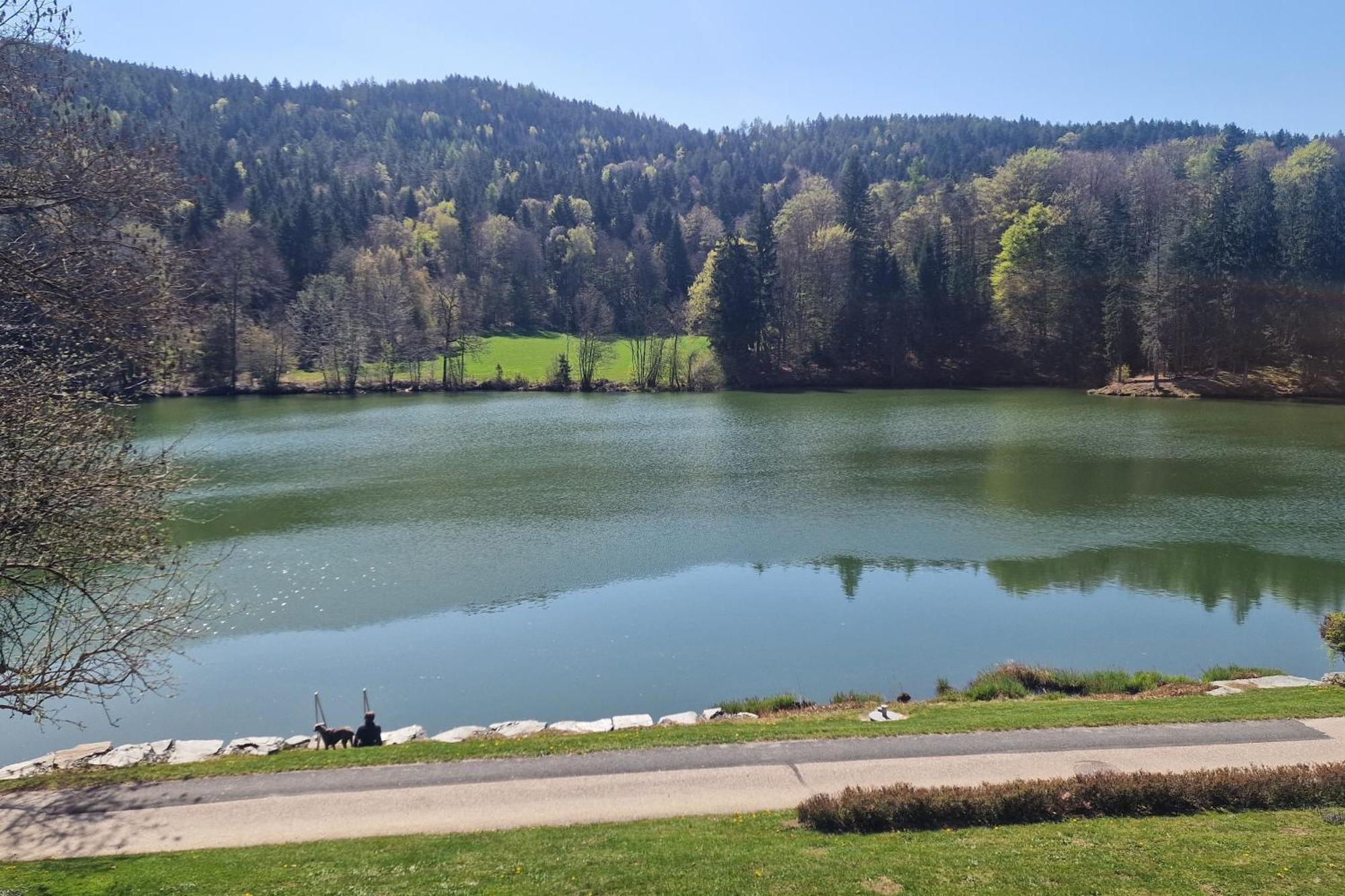 Landgasthof Trattnig Schiefling am See Pokój zdjęcie