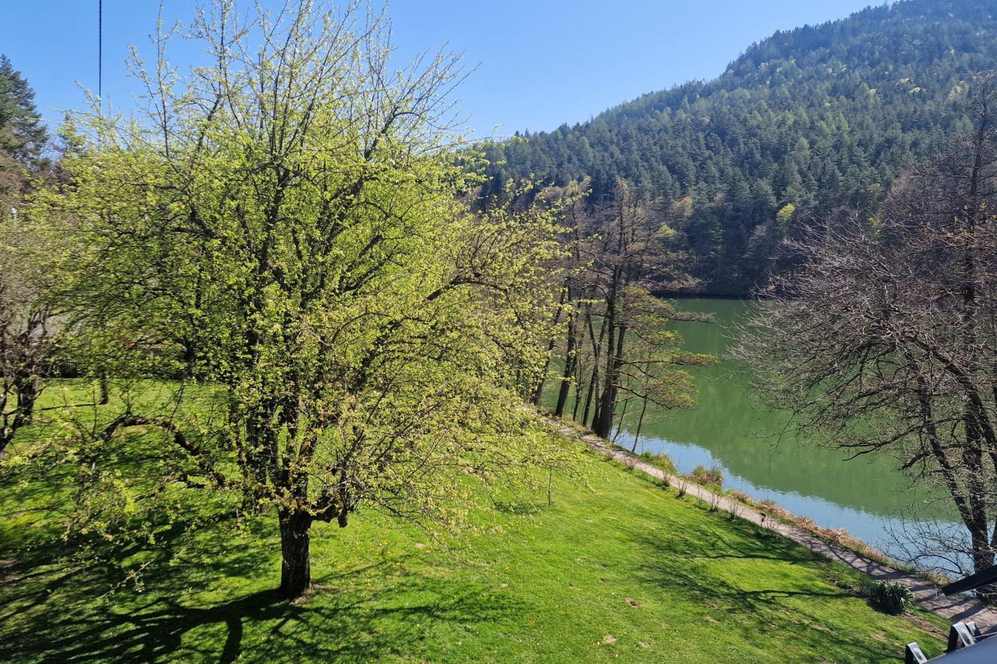 Landgasthof Trattnig Schiefling am See Pokój zdjęcie
