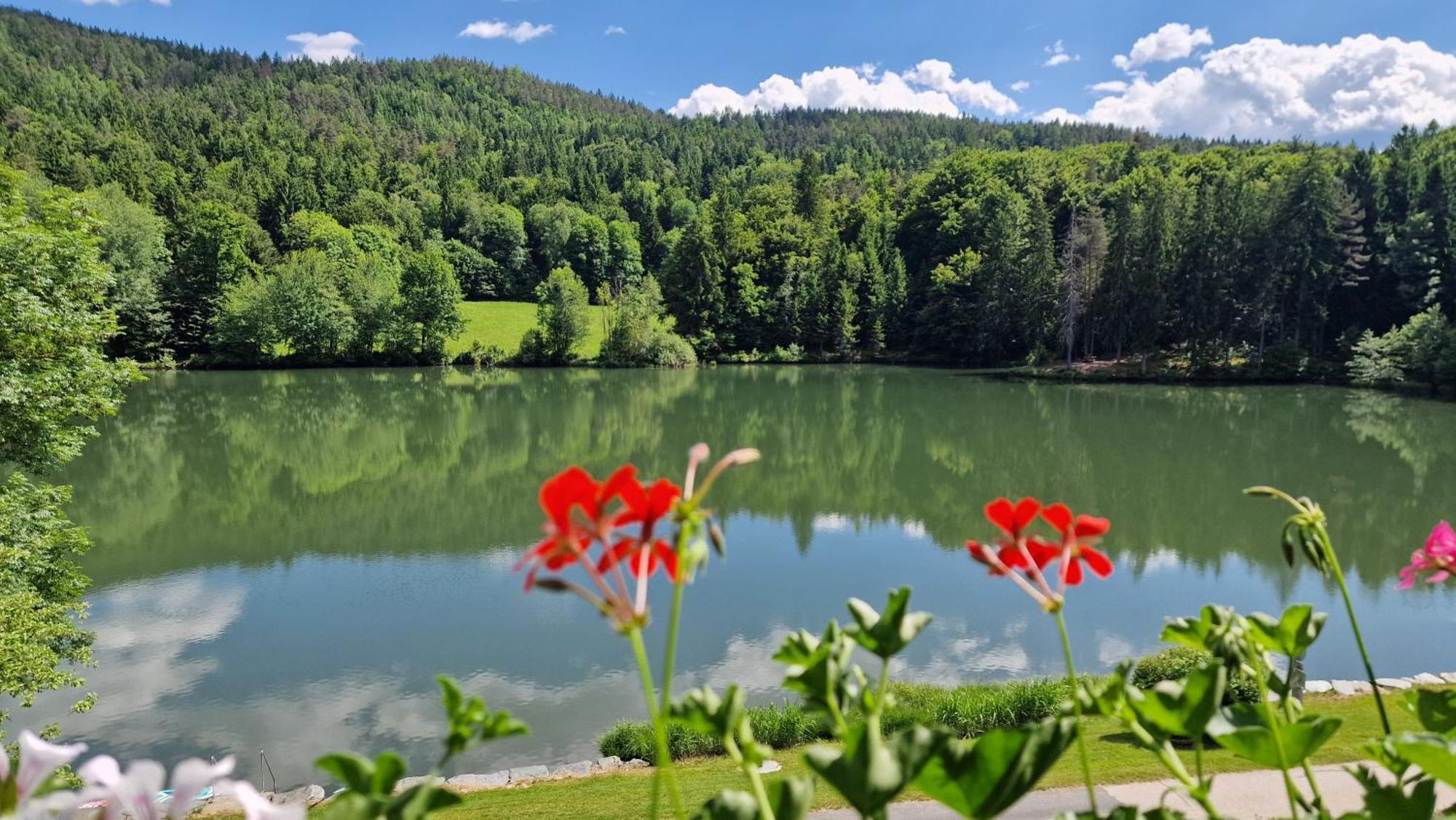 Landgasthof Trattnig Schiefling am See Pokój zdjęcie